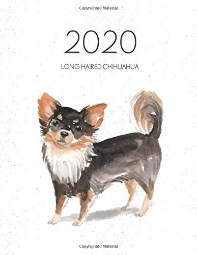 2020 Long Haired Chihuahua Dated Weekly Planner With To Do Notes