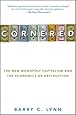 Cornered: The New Monopoly Capitalism and the Economics of Destruction