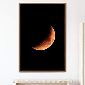 signwin Framed Canvas Wall Art Moon Astronomy &...