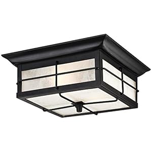 Westinghouse Lighting 6204800 Orwell Two-Light Outdoor Flush-Mount Fixture, Textured Black Finish on Steel with Frosted…