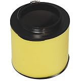 HIFROM ATV Air Filter Element Cleaner for Honda Foreman TRX500TM TRX500FM TRX500FE TRX500FE Rubicon TRX500FA TRX500FGA TRX500FPA TRX680FA MUV700 SXS700M2 Replace 17254-HPO-A00 (Pack of 1)
