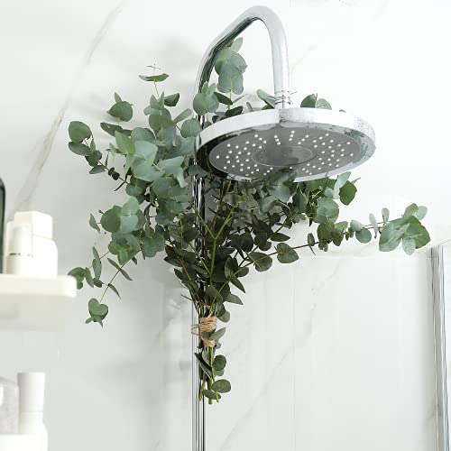 Fresh Eucalyptus for Shower Bundle Add a Luxurious Touch of Natural