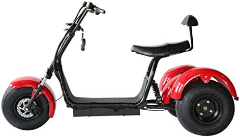 3 wheel fat tire electric scooter