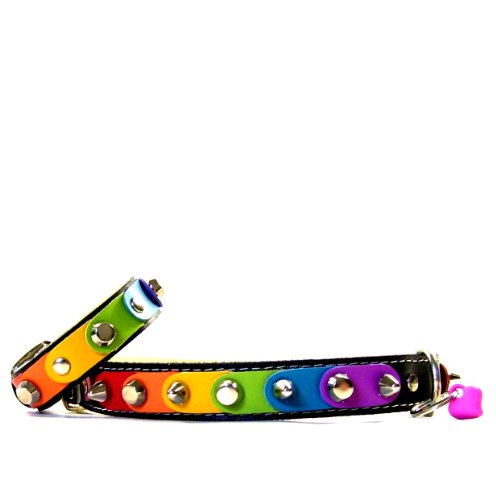 Superpipapo Leather Collar for Medium Sized Dogs & Bracelet/This Gay Rainbow Colored Collar Expresses Freedom and Happiness for Dogs and Owners