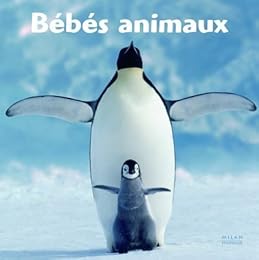 Bébés animaux