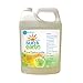 Sun & Earth Natural All Purpose Cleaner, Light Citrus, 128 Ounce (Pack of 2)