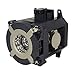 NEC NP26LP/100013748 Original Lamp