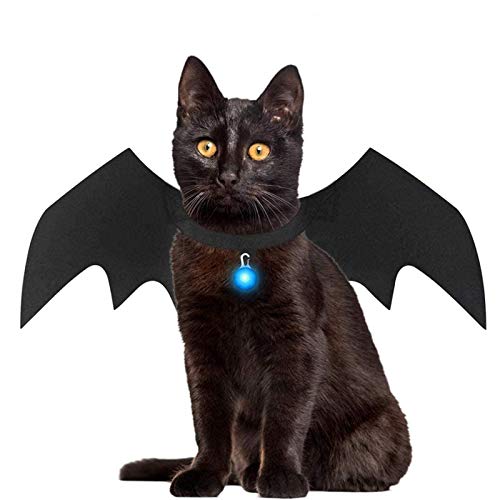 cat collar accessories