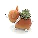 MAGGIFT Animal Shaped Succulent Plant Pot /Cactus Plant Pot/Desktop Flower Pot/Mini Bonsai pot (Style A)
