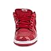 Nike Dunk Low Pro