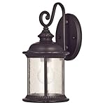 Westinghouse 6230600  New Haven One-Light Exterior Wall Lantern  on Steel with Clear Seeded Glass,  Oil Rubbed Bronze Finish
