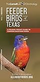 Feeder Birds of Texas: A Folding Pocket Guide to Common Backyard Birds (Wildlife and Nature Identification) by