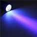 UV Light Flashlight Torch (Black) with Liquid Optical Clear Adhesive (LOCA), 5ml for for Iphone Samsung Motorola HTC LG Sony Nokia Xiaomi
