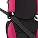 Evenflo Big Kid Sport High Back Booster Car Seat, Sequioa