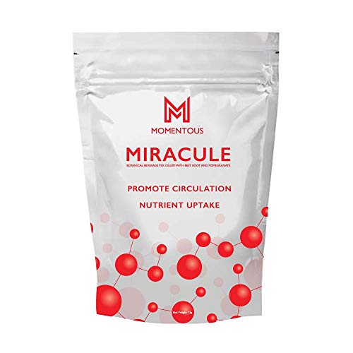 Miracule Nitric Oxide Activator Botanical Beverage Mix Celery, Beet Root, and Pomegranate - Promotes Circulation and Nutrient Uptake (73g)
