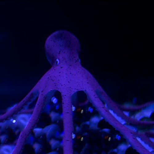 New Octopus S Brown Aquarium Fish Tank Landscape Decoration Glow Simulation Animal Plants Ornament no.05