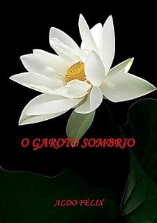 Livro O Garoto Sombrio