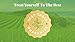 Matcha Ceremonial Grade - Macha Powder Green Tea Organic - Original Japanese 1st Harvest - Gently Dried - Exceptional Taste - Dual Certified - 200 Years History by GREENHOUSE SUPERFOODS [35g/1.23oz]