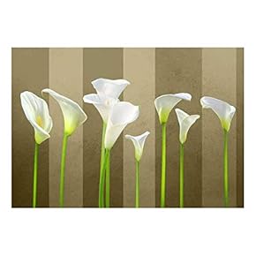 Arum Lilies with Copper and Rich Brown Striped Textured Background - Wall Mural, Removable Sticker, Home Decor - 66x96 inches