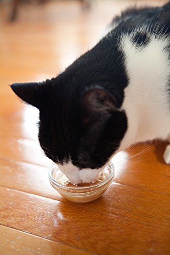 Delectables Chowder Lickable Wet Cat Treats - Chicken & Tuna - 12 Pack