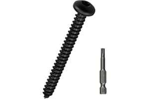 FAYEPLOO #10 x 2 Black Torx Pan Head Sheet Metal Screws 50 Pack, 304 Stainless Steel 18-8 Self Tapping Screws for Metal & Wood & Plastic, Black Coated, 1pcs Star Driver Bit Included