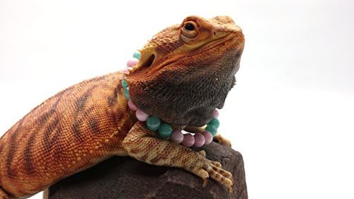 Bearded Dragon Necklace, Pink Jade and Turquoise Amazonite (Extra-Large)