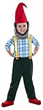 Gnome Costume for Boys - Medium (8-10)