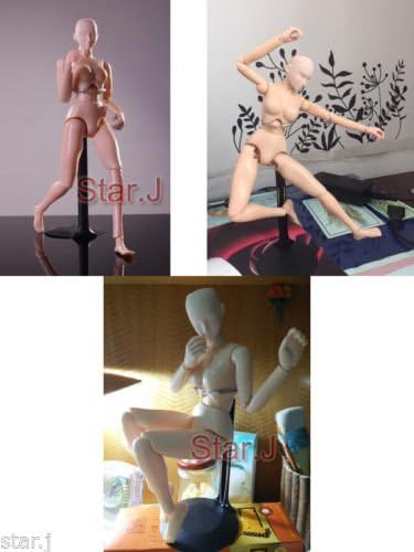 Human Drawing Model Female Body Art Figure Display Sculpture Sketching Craft 12"