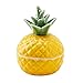 HOME SMILE Ceramic Small Jewelry Decorative Box,Engagment Wedding Ring Holder,Gift for Girls & Women,Pineapple