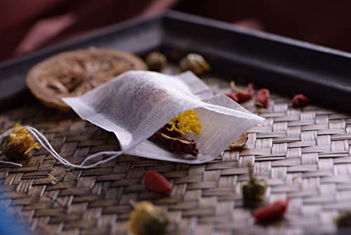 WarmCrystal, Tea and Coffee Filter Bags, Disposable Tea Infuser with Drawstring for Loose Leaf Tea, Safe & Natural Material 100 pack (2.76 3.54)