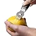 Gelindo Lemon Squeezer with Lemon Zester Grater - Heavy Duty - Easy To Use - Large Bowl, Silver