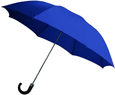 Rainbrella 2-Fold Auto Open Umbrella