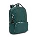 Kipling Pippin Backpack