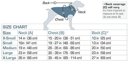 measuring dog for sweater