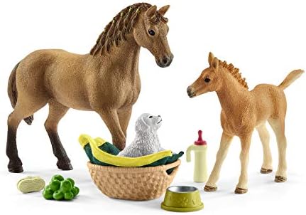 Baby Animal Care with Quarter Horse 