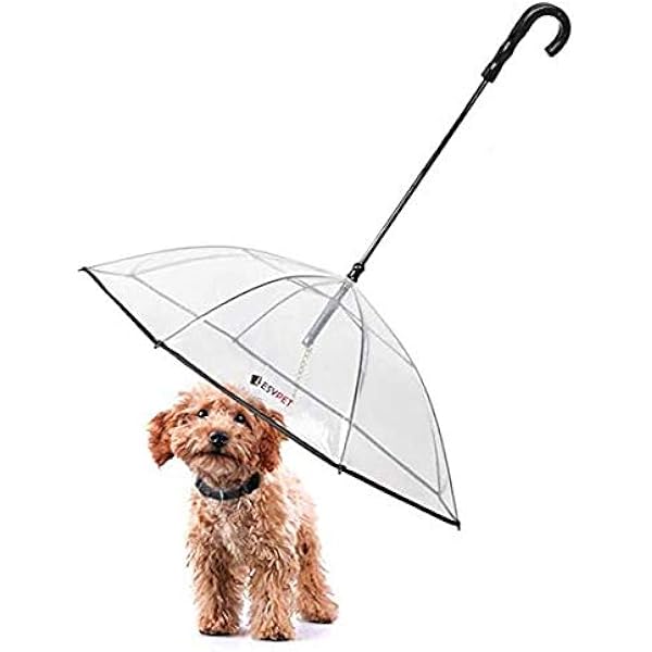 umbrellas for dogs