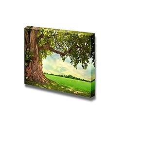Beautiful Scenery Landscape Spring Meadow with Big Tree...