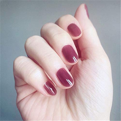 NEW Style False Nail Jelly Purple Short Nail Art Round Head False Nails 24pcs 12 Different Size (Jelly Purple)
