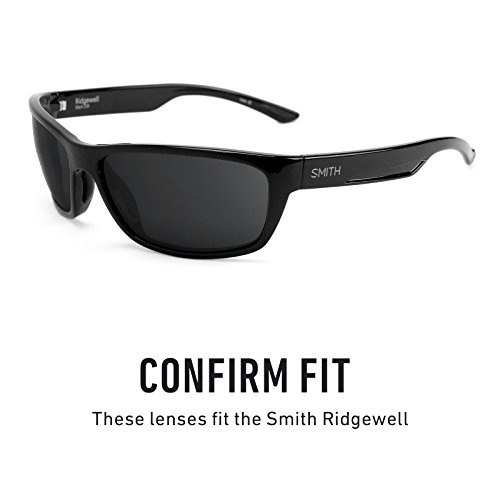 Revant Replacement Lenses for Smith Ridgewell Stealth Black
