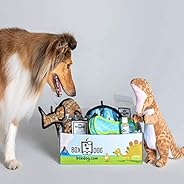 BoxDog - Monthly Dog Subscription Box with 100% Handmade Treats & 2 Dog Toys: Small Dog &