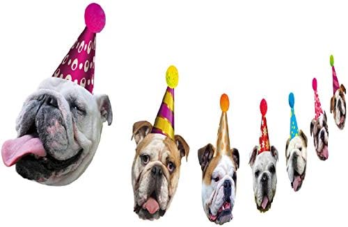 bulldog birthday party