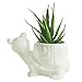 GeLive Tortoise Succulent Planter Turtle Plant Pot Animal Fun Vase Window Box Cute Home Decoration, 5 Inch, Indoor Outdoor