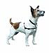 HALTI Front Control Harness - To Stop Your Dog Pulling on the Leash. Adjustable, Lightweight and Easy to Use. Anti-Pull Dog Training Harness for Small Dogs (Size S)