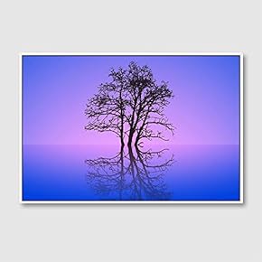 Framed Canvas Wall Art for Living Room, Bedroom Animals Canvas Prints for Home Decoration Ready to Hang - 16x24 inches