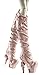 Monster High Shriekwrecked Nautical Ghouls Rochelle Goyle Doll
