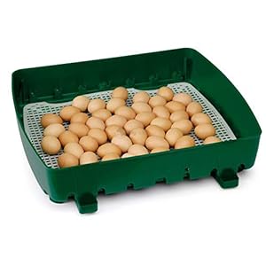 Incubatrice Per Uova Automatica Digitale Con Girauova, Capacità 49 Uova Di Gallina, Anatra, Oca, Tacchino, 196 Uova Di… - immagine 4