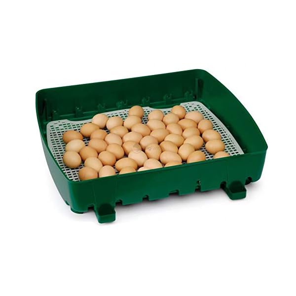 Incubatrice Per Uova Automatica Digitale Con Girauova, Capacità 49 Uova Di Gallina, Anatra, Oca, Tacchino, 196 Uova Di…