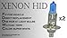 H1 100W Pair High or Low Beam or Fog Light Xenon HID White Bulbs JDM