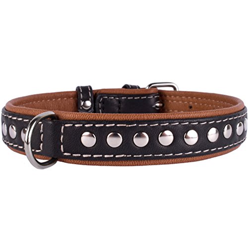 CollarDirect Studded Dog Collar Leather Pet Collars for Dogs Small