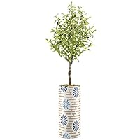 SIGNWIN Olive Tree with Dark and Light Blue Geometric Flower Pattern Vase Abstract Shapes Minimalism Zen Colorful Multicolor Ultra for Living Room, Bedroom, Office - X-Large 5 Feet (60